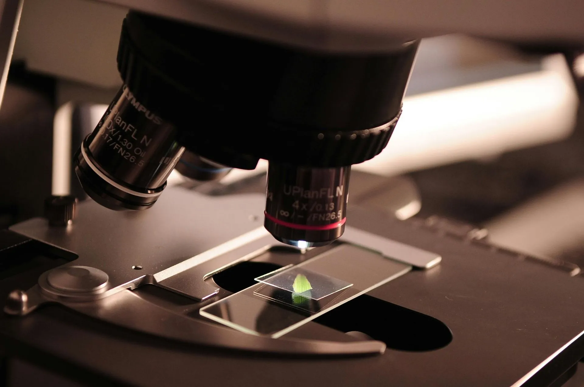 Microscopio de laboratorio analizando una muestra vegetal de cáñamo